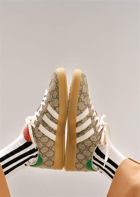 adidas. gucci